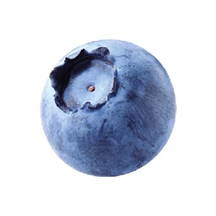 mirtillo-q Sweet Fruit Vibes