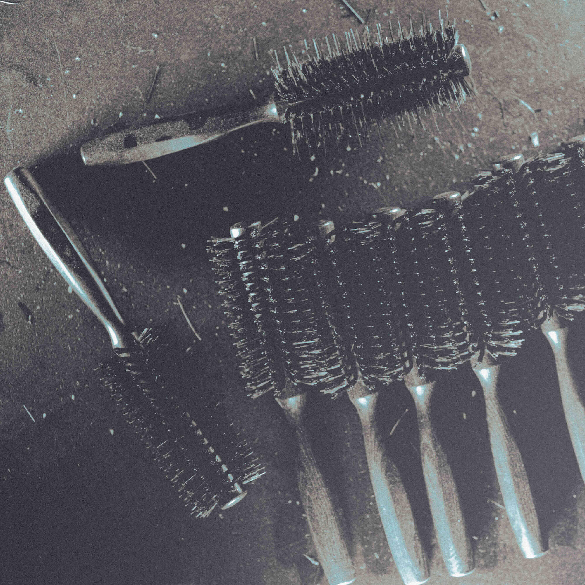 Intro_TITANIUM_DSC00371e Titanium